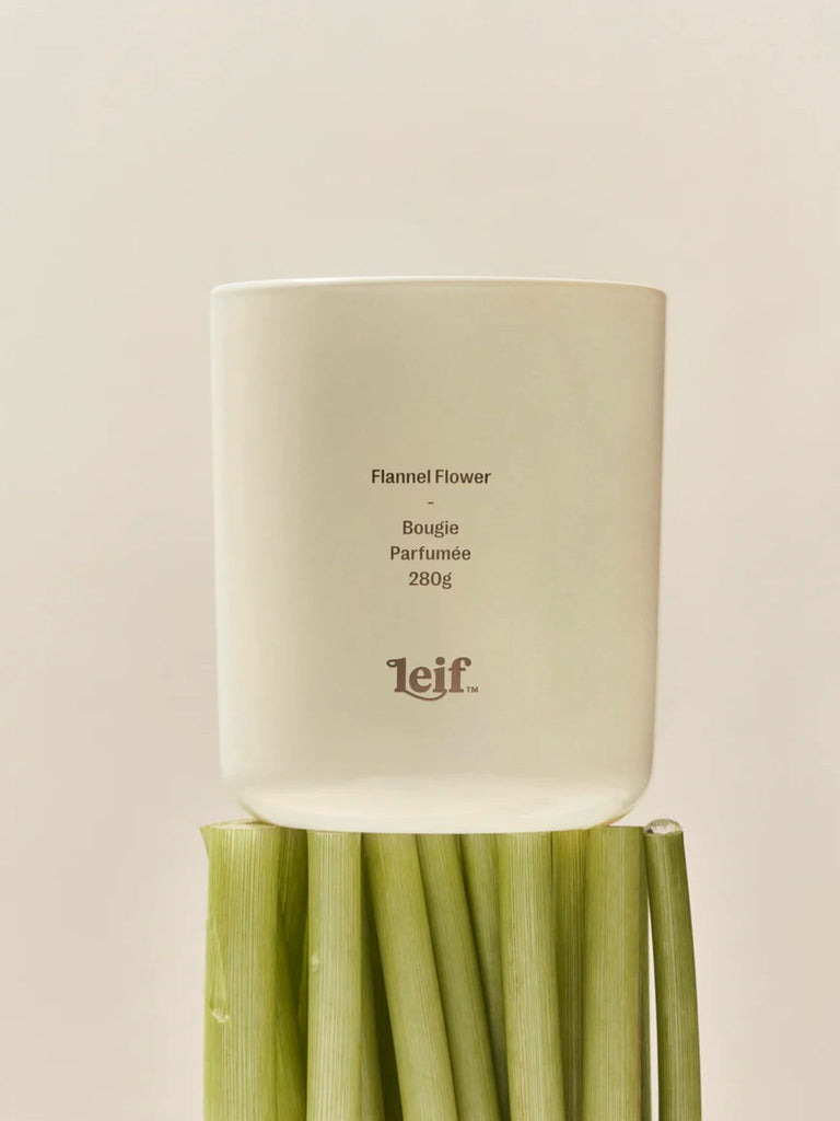 Flannel Flower Candle